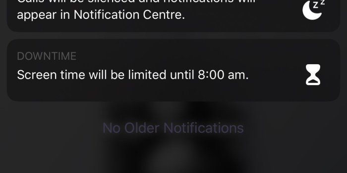 1242x2208 BUG] When having a black clock on a bright wallpaper, the lock