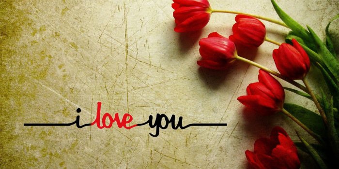 1920x1200 18213 love you wife wallpaper