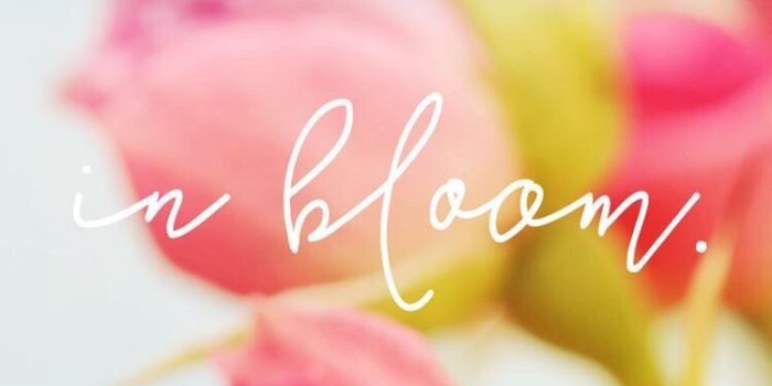 750x1334 Love Wallpaper, Wallpaper Backgrounds, Husband Wife, - Engagement