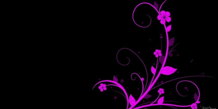1920x1080 Bright Pink On Black >> HD Wallpaper, Get It Now! Desktop Background