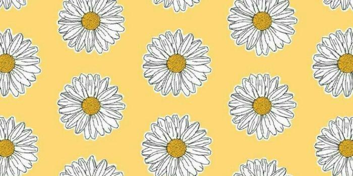 736x1308 Yellow background with daisies | Backgrounds in 2019 | Pop art