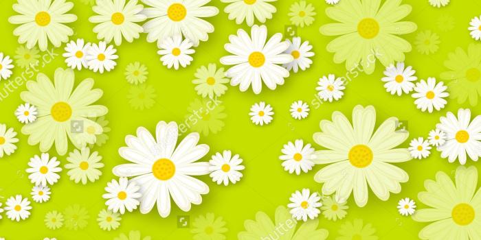 1500x994 27+ Daisy Backgrounds, Wallpapers, Images, Pictures | Design Trends
