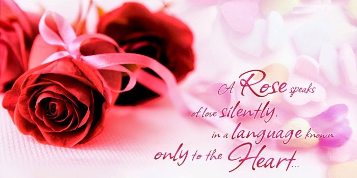 1600x900 Happy Rose Day 2019 Images, Messages, Quotes, Picture, HD Wallpapers
