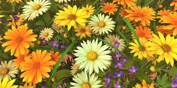 3840x2400 5091520 Earth, Yellow Flower, Gerbera, Daisy, Flower, White Flower