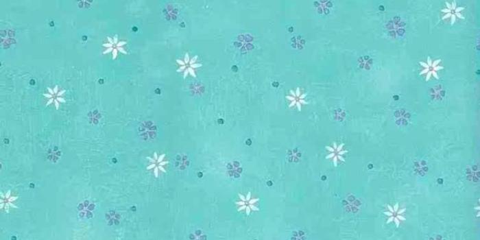 794x1246 Turquoise Floral Vintage Wallpaper White Purple Yellow Daisies FI46071  Double Rolls