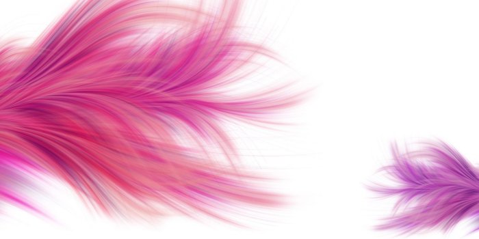 1536x864 Free download Wallpapers wallpaper Girly Pink Wallpapers hd