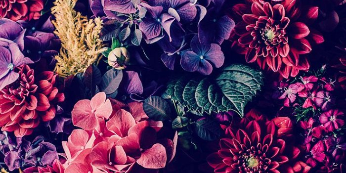 736x1308 25 Gorgeous iPhone 7 & 7 Plus Wallpapers | Preppy Wallpapers