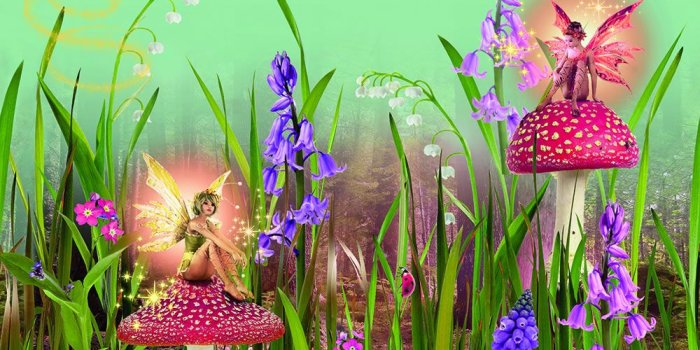 1000x1000 Arthouse Decorative Frieze Magic Garden Kids' Wallpaper