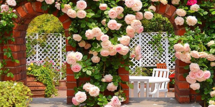 1100x1100 Magic Garden Live Wallpaper for Android - APK Download