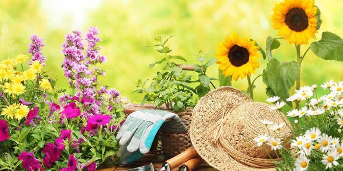 1280x720 Magic Garden Live Wallpaper App Ranking and Store Data | App Annie