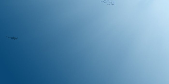 1024x768 Minimalist Zen Wallpapers - Top Free Minimalist Zen Backgrounds