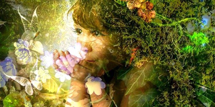 960x960 The Magic Garden Wallpaper by BabyCougz1 - 13 - Free on ZEDGE™