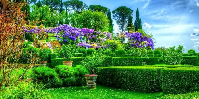 1100x1100 Magic Garden Live Wallpaper for Android - APK Download