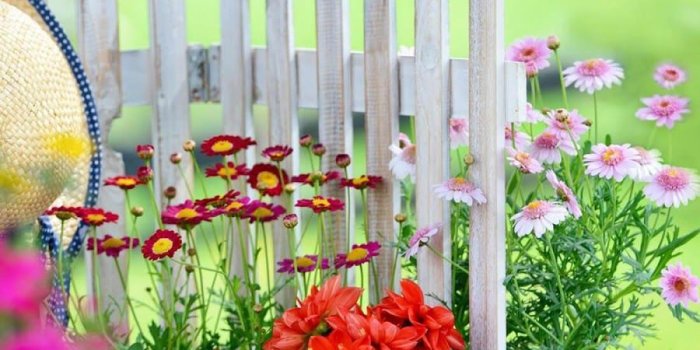 900x900 Magic Garden Live Wallpaper 9.0 APK Download - Android