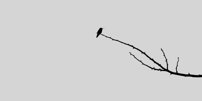 1920x1080 Minimalist Zen Wallpaper – HD Wallpapers