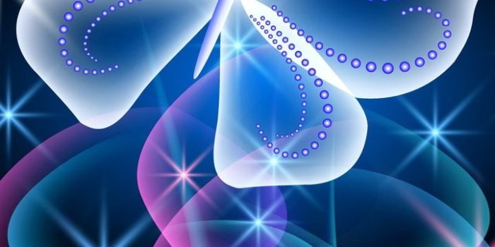 720x1280 720x1280 neon, abstract, butterfly, pink, glow, butterfly, blue