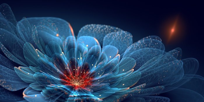 2048x1279 Wallpaper Art, Flower Petals, Sparkles, Neon, Blue | HD Wallpapers