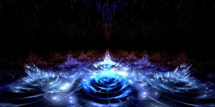 2560x1440 Sparkly blue flowers wallpaper - Abstract wallpapers - #50416