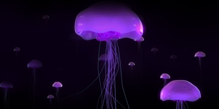 1920x1200 30 HD Purple Wallpapers