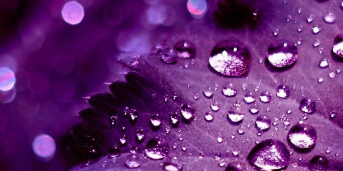 1032x774 Purple Wallpaper - Best, Cool, Funny