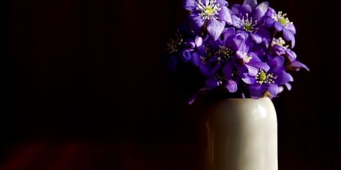 1190x883 Purple Flowers Bouquet In Vase Desktop Wallpaper | Spot Wallpapers