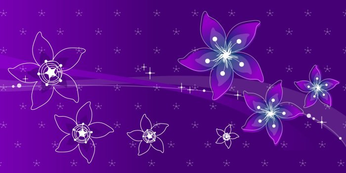 1920x1200 Purple Flower Wallpapers Desktop Background ~ Festival Wallpaper