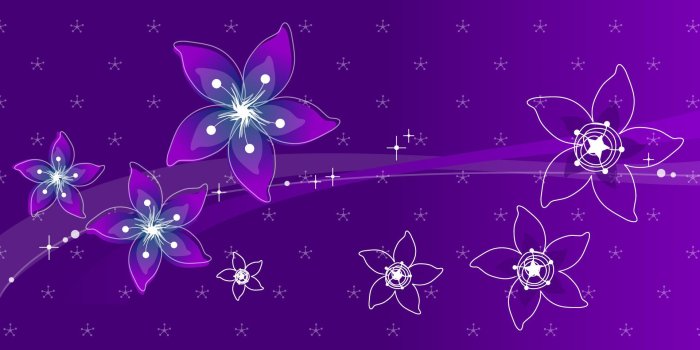 1920x1200 Violet Flowers Desktop Wallpaper - THIS Wallpaper