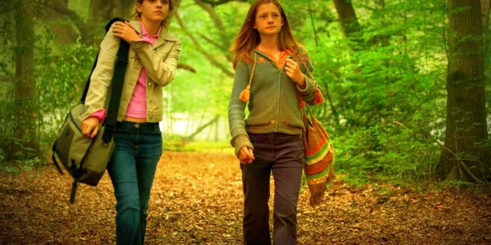 1280x800 Hermione and Ginny images Hermione and Ginny HD wallpaper and