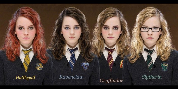 1701x1063 HD wallpaper: harry potter luna lovegood hermione granger ginny