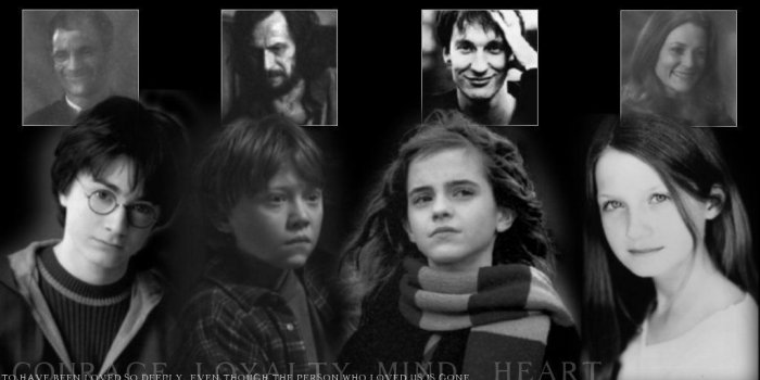 1024x768 Harry,Ron,Hermione,Ginny - Harry and Ginny & Ron and Hermione