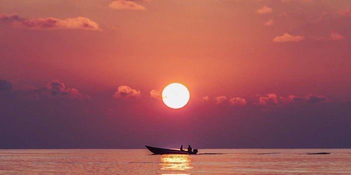 1242x2208 Sunset iPhone wallpaper | Wallpaper in 2019 | Sunset iphone