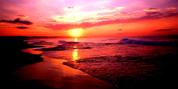 1920x1080 Cute Beach Wallpapers - Top Free Cute Beach Backgrounds