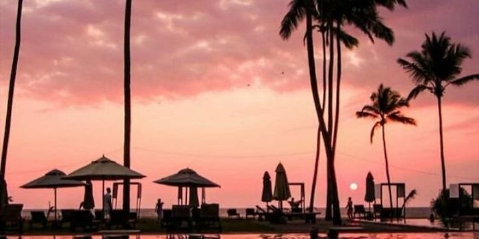 700x1244 ▷ 1001 + ideas for cute wallpapers that bring the summer vibe