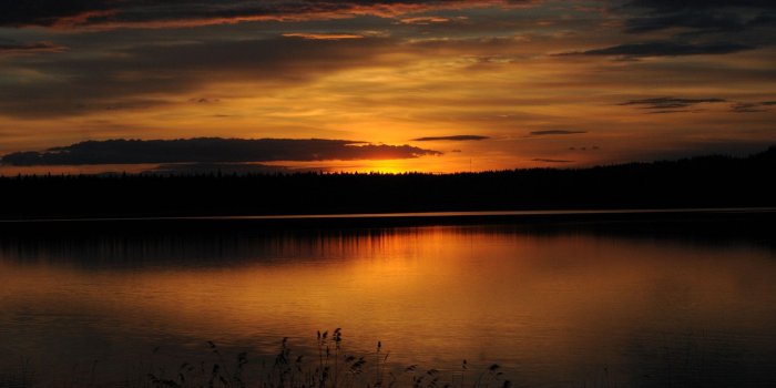 2048x1360 Background Images, Cute, Sunset, Tablet, Smart Phone,forest DusHD