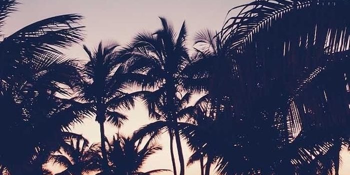 700x1244 ▷ 1001 + ideas for cute wallpapers that bring the summer vibe