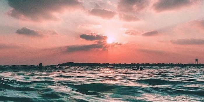 700x1244 ▷ 1001 + ideas for cute wallpapers that bring the summer vibe