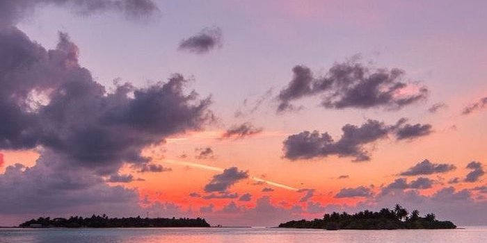 700x1400 ▷ 1001 + ideas for cute wallpapers that bring the summer vibe