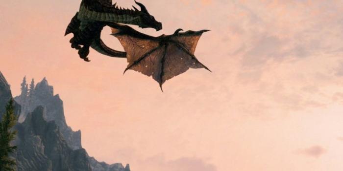 1000x1600 Skyrim Dawnguard Mobile Wallpaper - Mobiles Wall