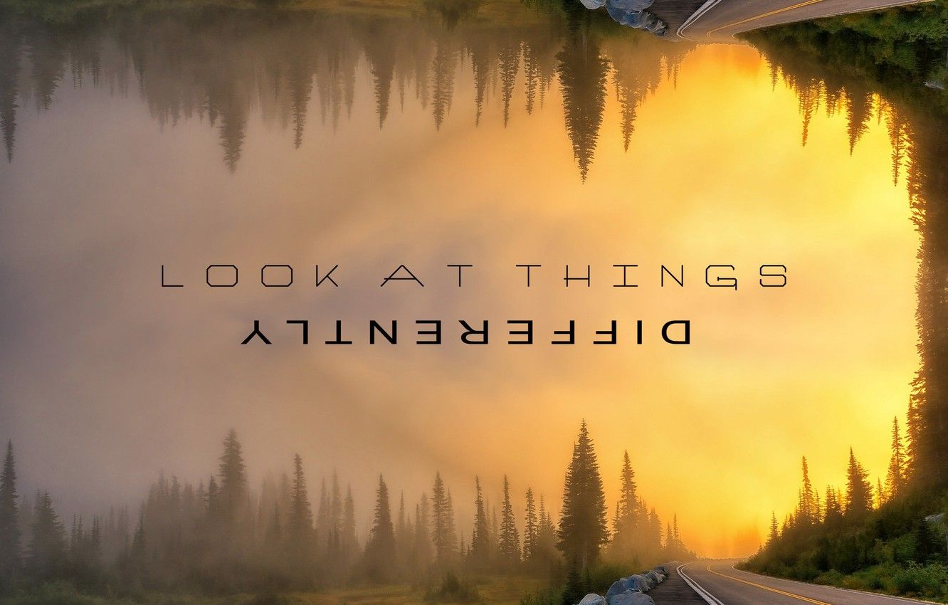 1332x850 Wallpaper road, forest, fog, lake, Look at things differently images