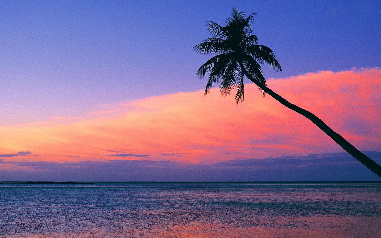 1680x1050 Look at the pink sunset from the beach wallpaper - Beach Wallpapers