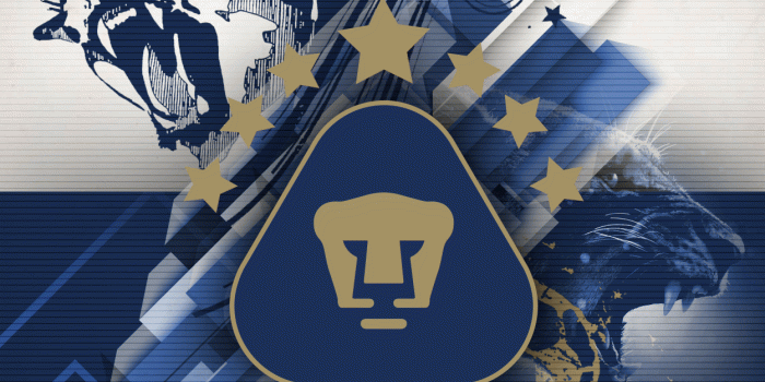 1250x1920 Pumas #LigraficaMX 14/04/15CTG | pumas wallpaper | Pumas, Pumas unam
