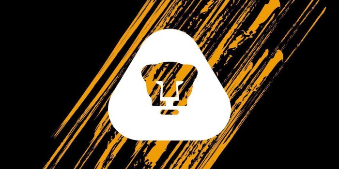 1480x1120 Pumas Wallpapers