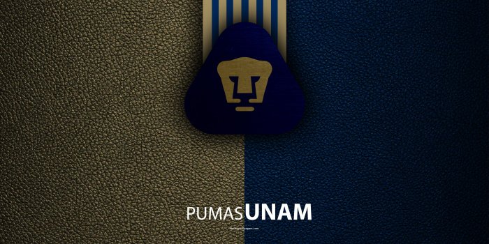 3840x2400 Download wallpapers Club Universidad Nacional, Pumas UNAM, 4k