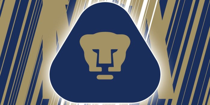 1158x1920 Pumas Unam Wallpapers (57+ images)