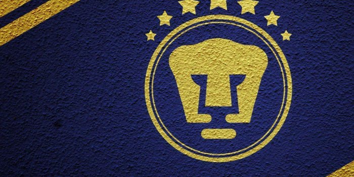 1280x1024 Pumas Wallpapers