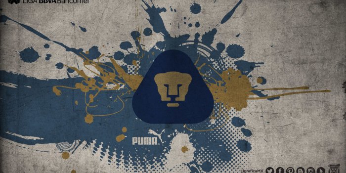 1920x1080 Pumas Unam Wallpapers (57+ images)