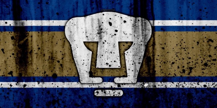 3840x2400 Pumas Unam Wallpaper - Pumas Unam Wallpaper 4k (#1197721) - HD