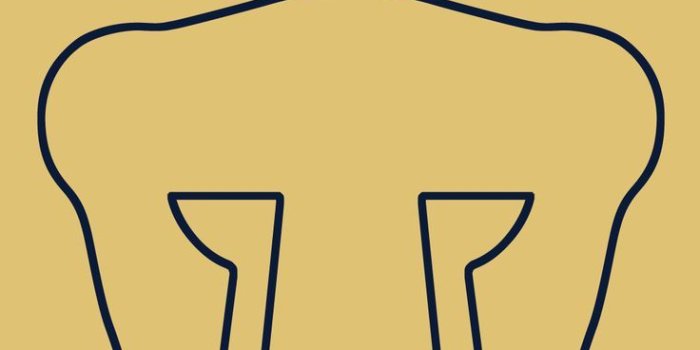 736x1308 Pumas Wallpaper - Banamex (#1197575) - HD Wallpaper Download