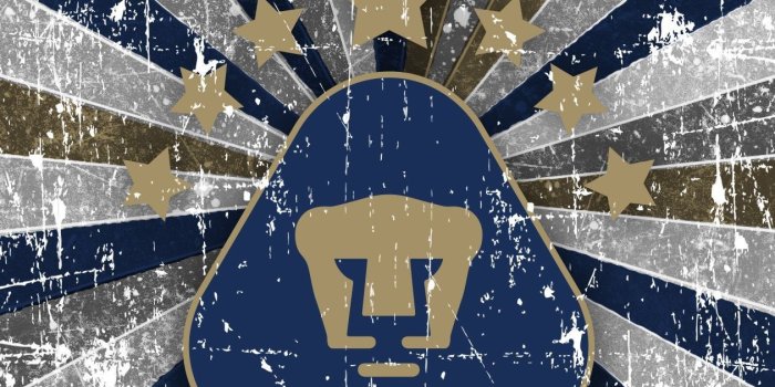 1260x1980 62+ Pumas Wallpapers on WallpaperPlay
