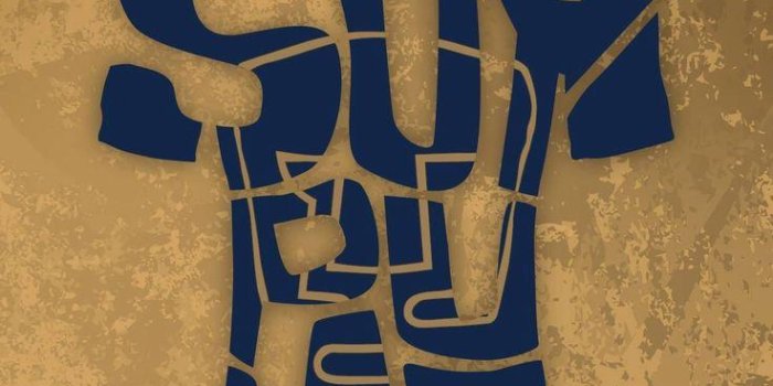 736x1175 Pumas Wallpapers